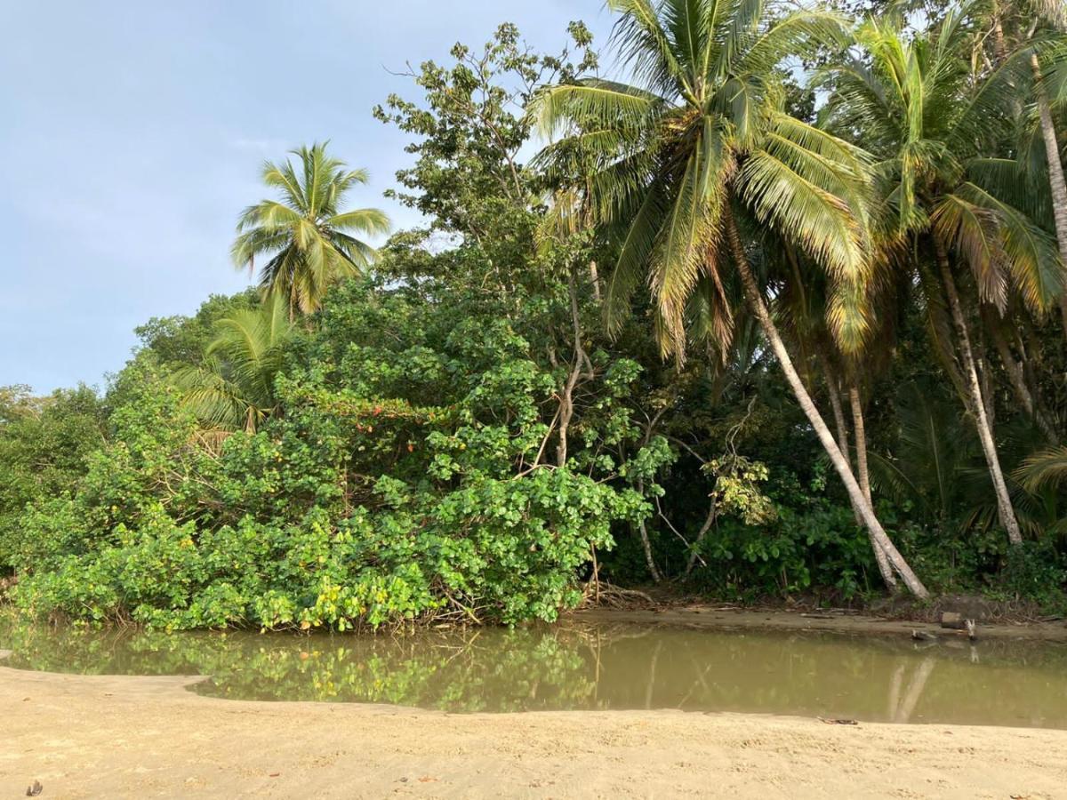 Aldina S Guest House Cahuita Bagian luar foto